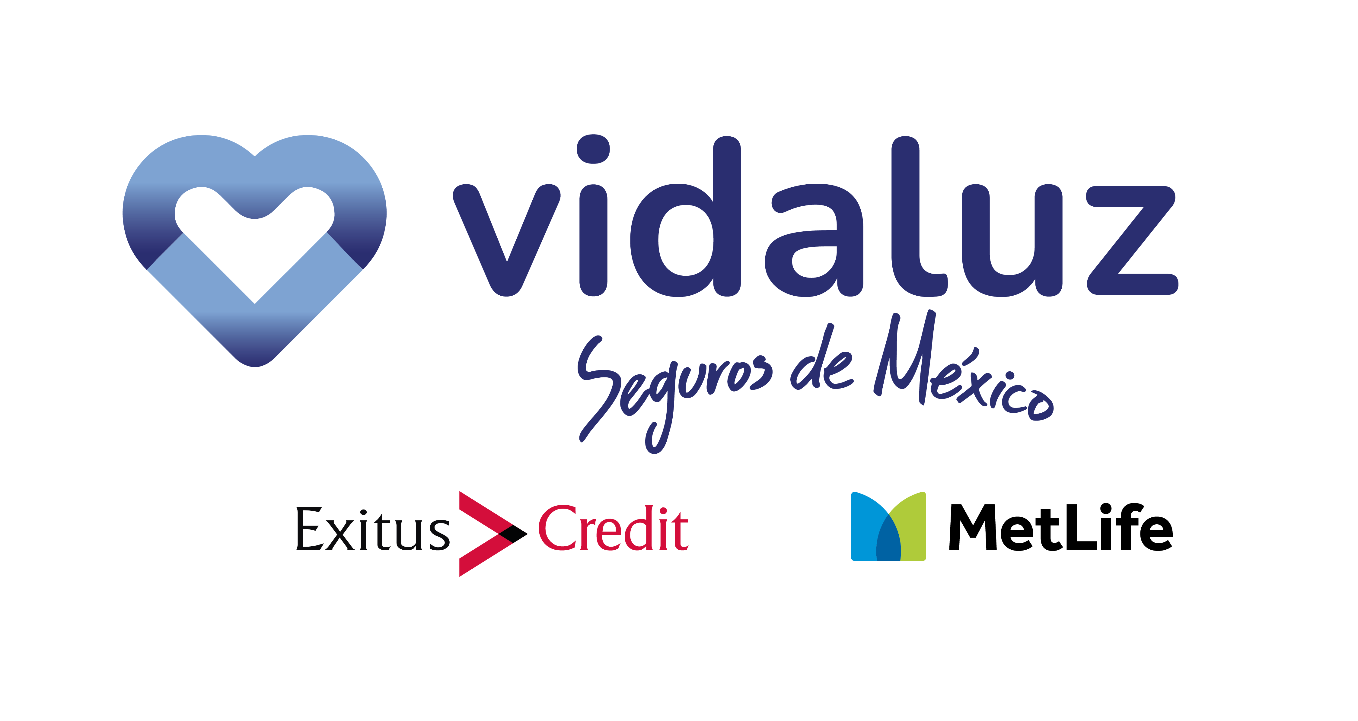 Vidaluz Logo